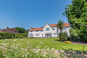 Photo 44- click for photo gallery